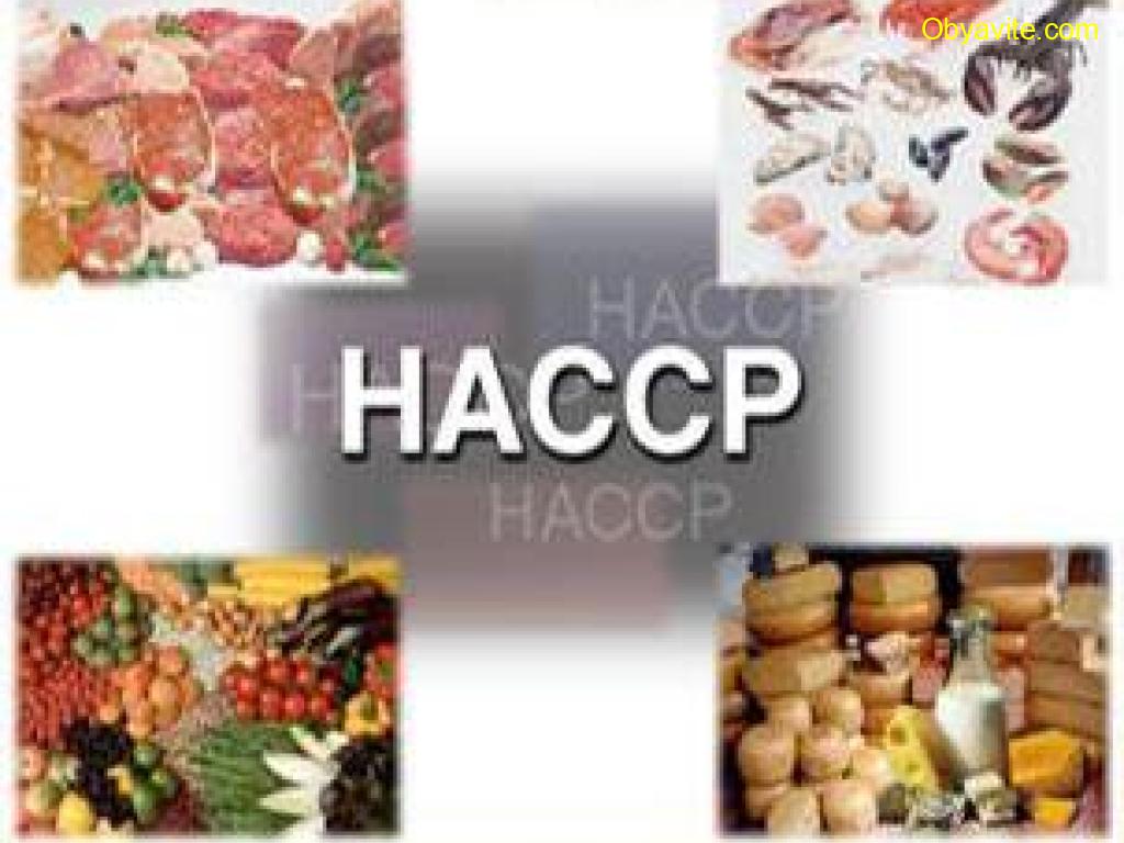 Най-доброто обучение на ръководители на НАССР екипи