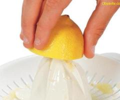 Цитрус преса, Tefal ZP300138