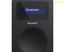 Радио, Sharp Radios DR-430(BK)