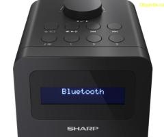 Радио, Sharp Radios DR-430(BK)