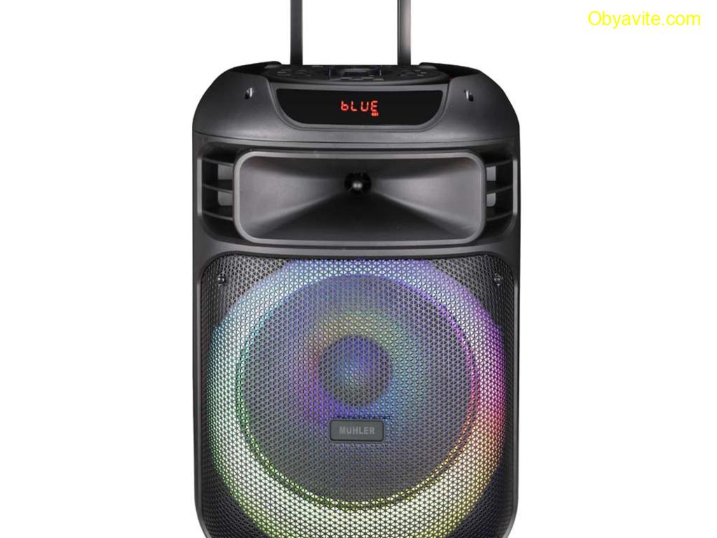 Активна тонколона Muhler MAX333XR