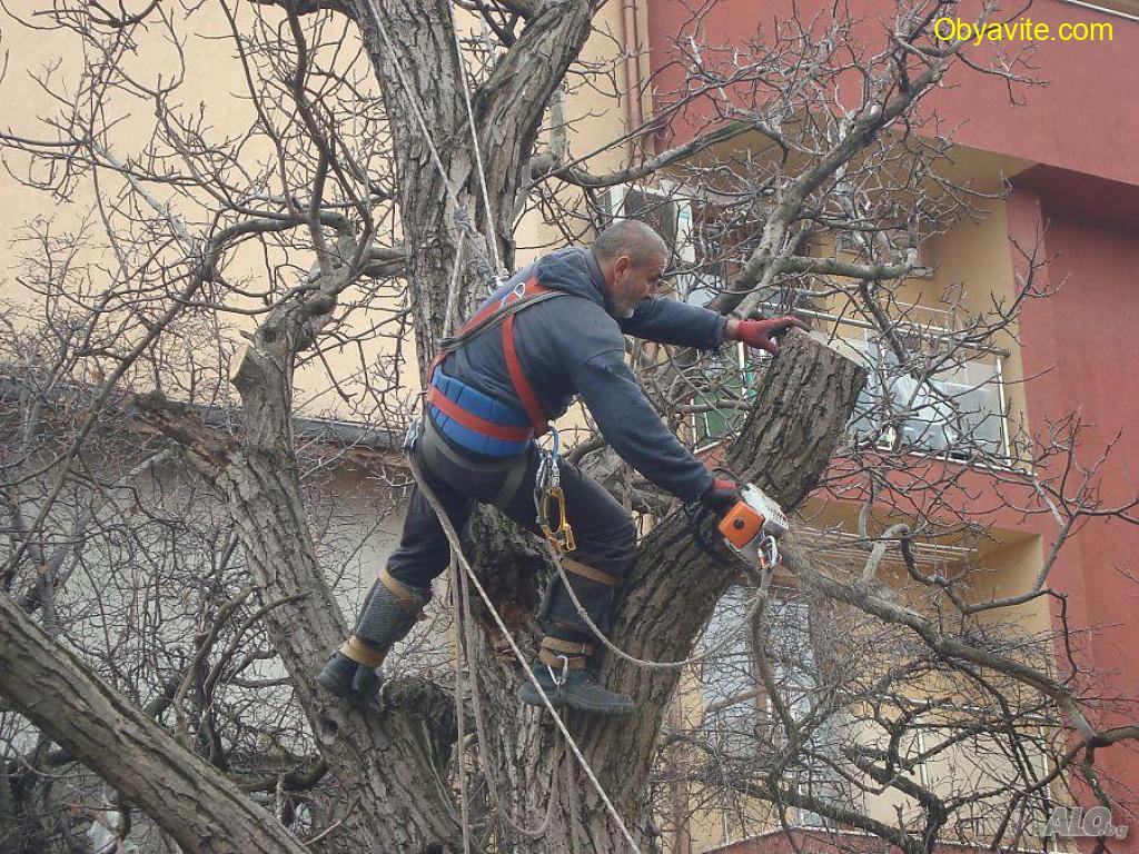 Почистване на дворни места лозя вилни места - Добрич и села