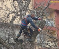 Почистване на дворни места лозя вилни места - Добрич и села
