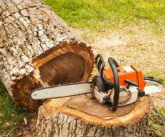 Варна и села - Почистване на дворни места трева дървета - 0887929656