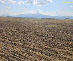 Продавам 25 дка земя в землището на с. Боянци