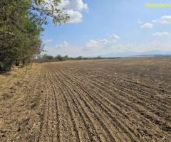 Продавам 25 дка земя в землището на с. Боянци